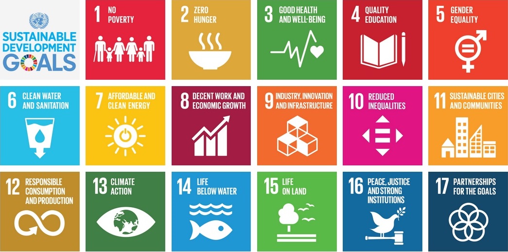Übersicht über die 12 SDGs der UN
